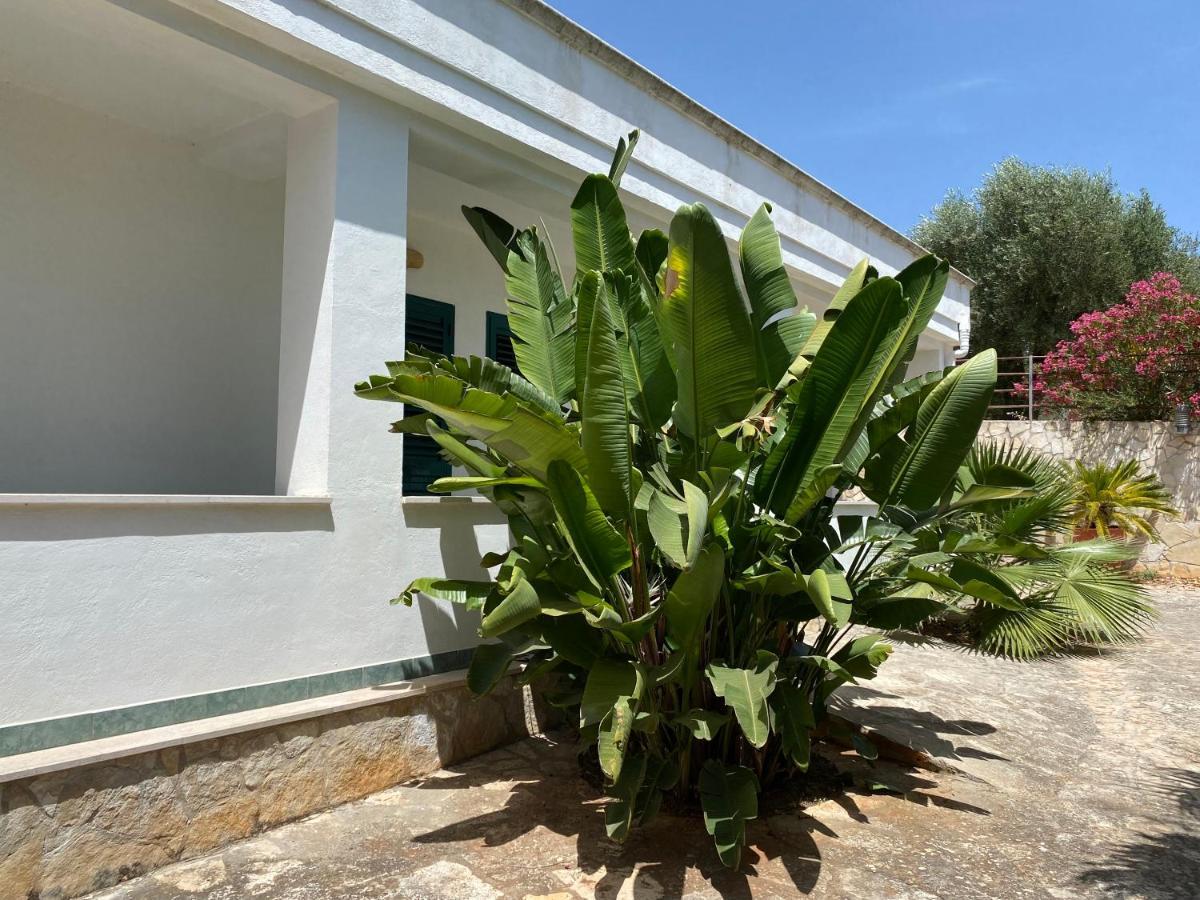 Citta Bianca Country Resort Ostuni Εξωτερικό φωτογραφία