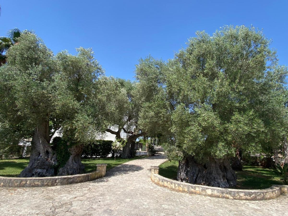 Citta Bianca Country Resort Ostuni Εξωτερικό φωτογραφία