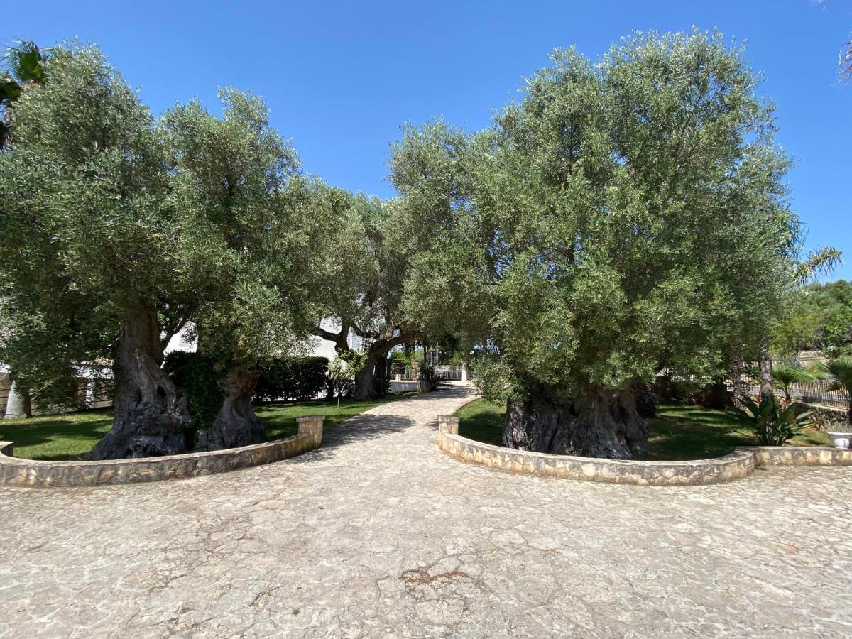 Citta Bianca Country Resort Ostuni Εξωτερικό φωτογραφία