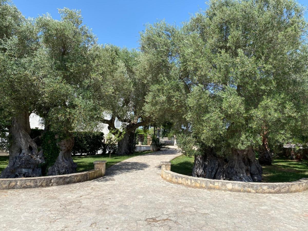 Citta Bianca Country Resort Ostuni Εξωτερικό φωτογραφία
